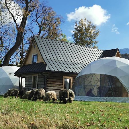Glamp Siedlisko Koscielisko Kościelisko Exterior foto