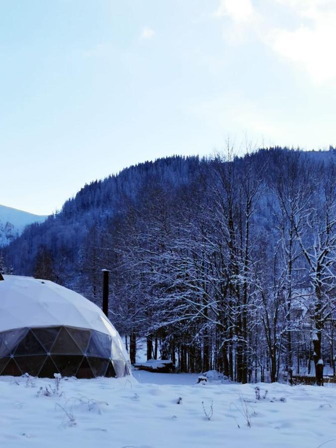 Glamp Siedlisko Koscielisko Kościelisko Exterior foto