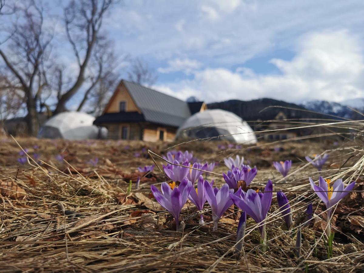 Glamp Siedlisko Koscielisko Kościelisko Exterior foto
